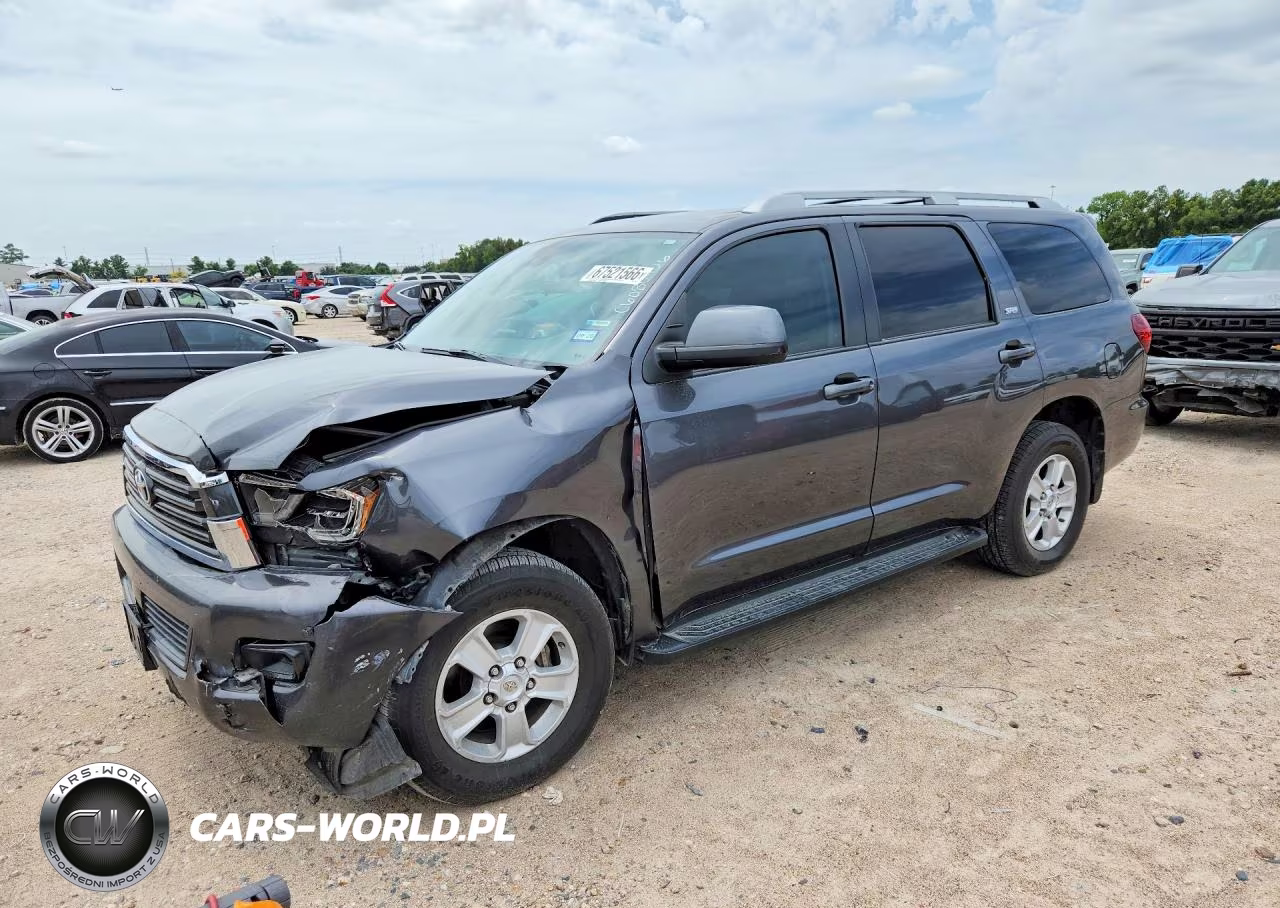 2019 Toyota Sequoia Sr5