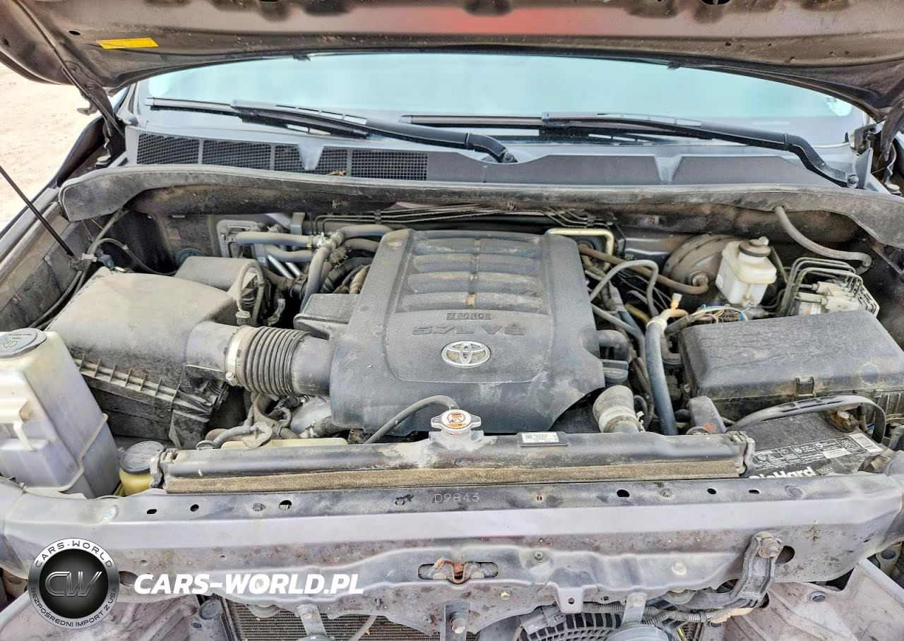 2019 Toyota Sequoia Sr5 VIN:5TDZY5G16KS073062 - 12