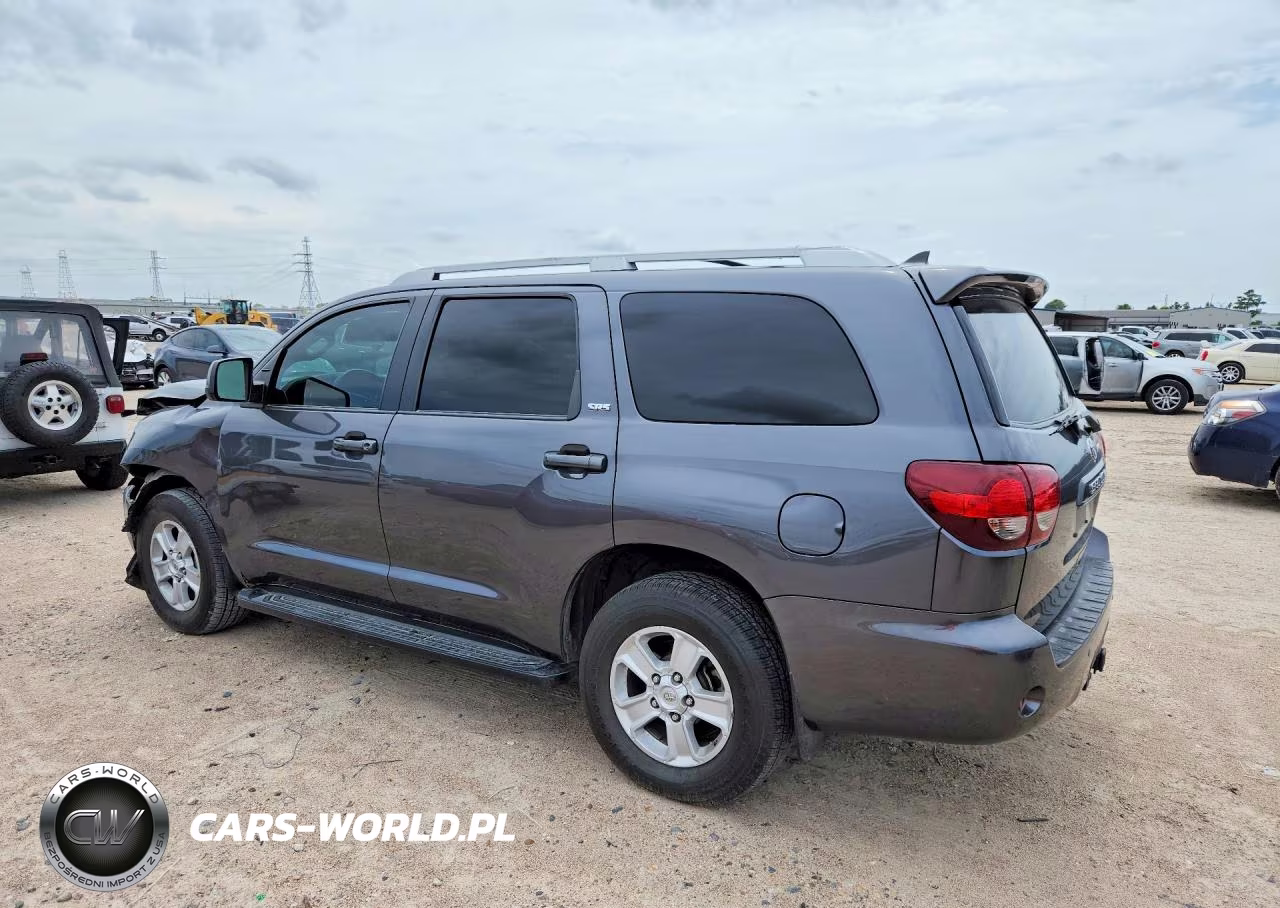 2019 Toyota Sequoia Sr5 VIN:5TDZY5G16KS073062 - 2