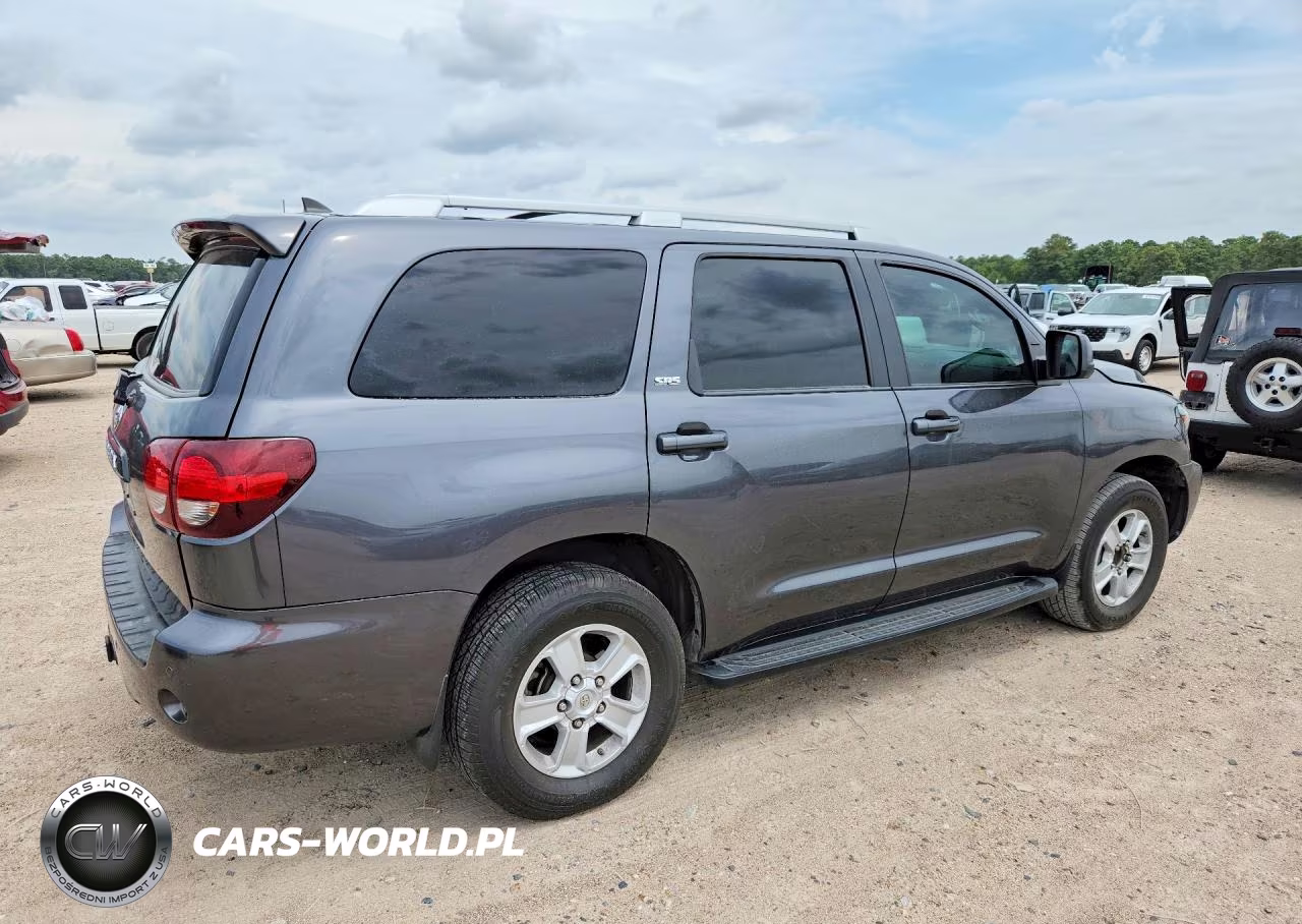 2019 Toyota Sequoia Sr5 VIN:5TDZY5G16KS073062 - 3