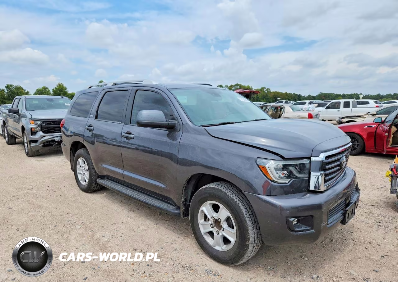 2019 Toyota Sequoia Sr5 VIN:5TDZY5G16KS073062 - 4