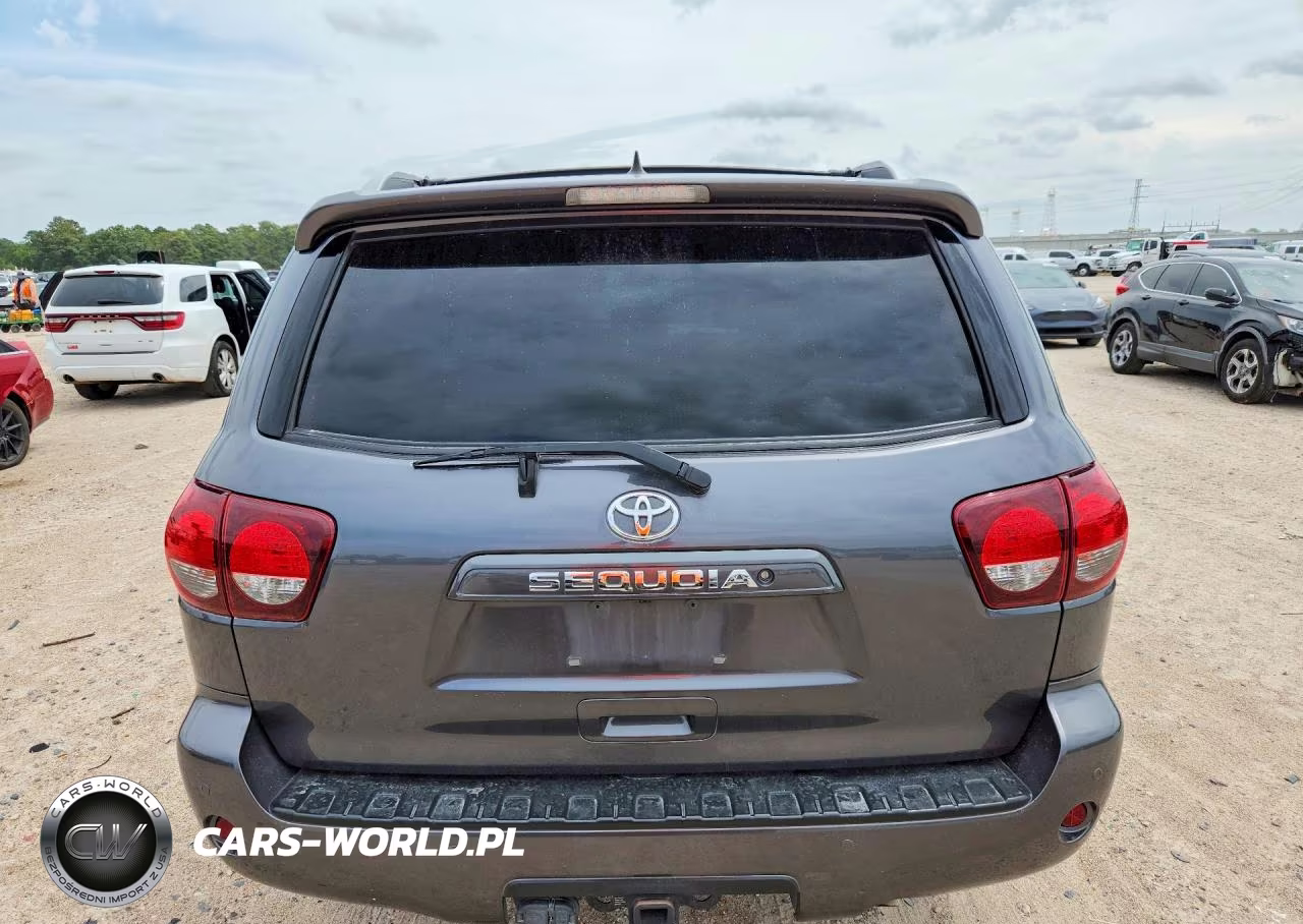 2019 Toyota Sequoia Sr5 VIN:5TDZY5G16KS073062 - 6