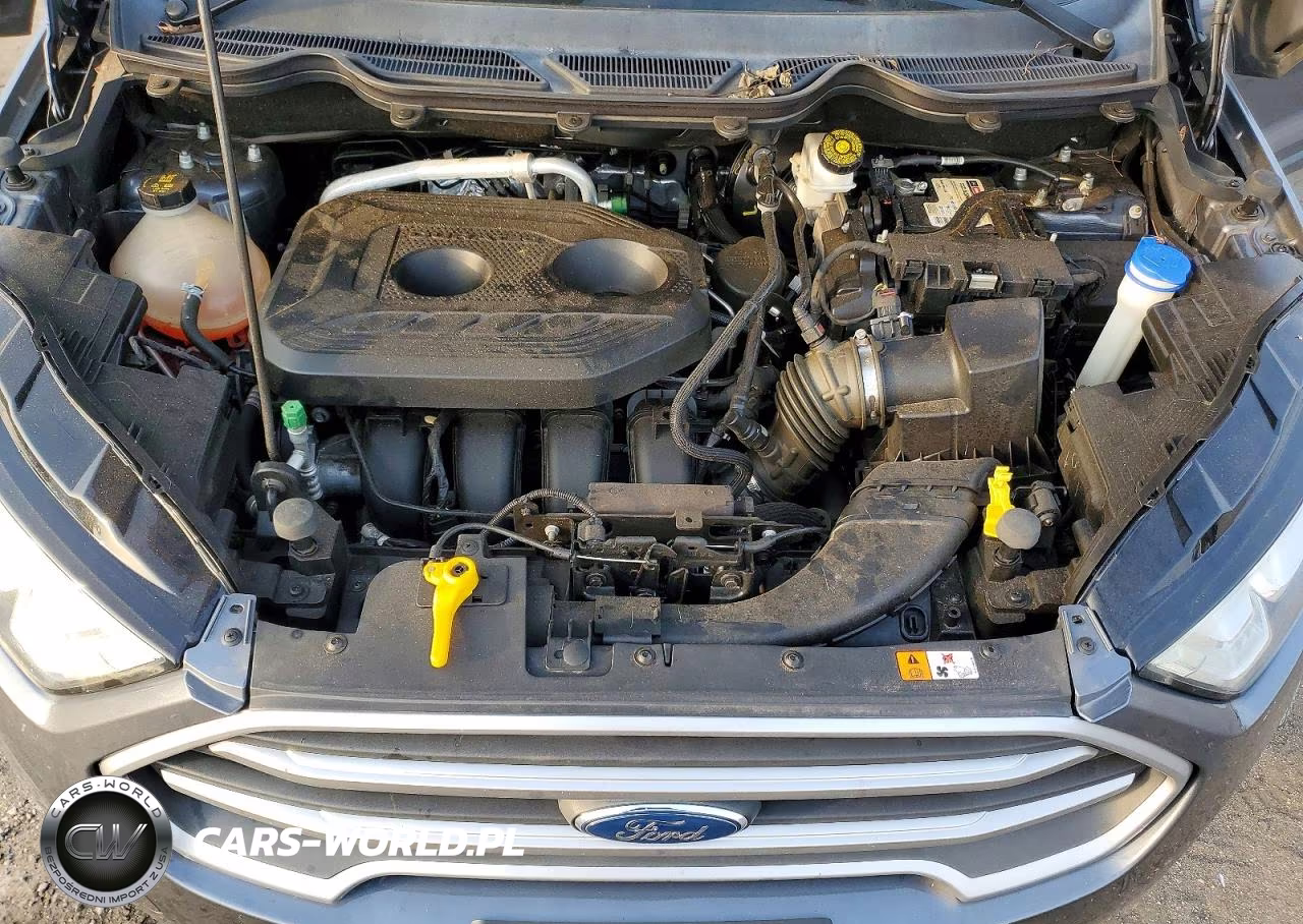 2018 Ford Ecosport Se VIN:MAJ6P1UL5JC159229 - 12