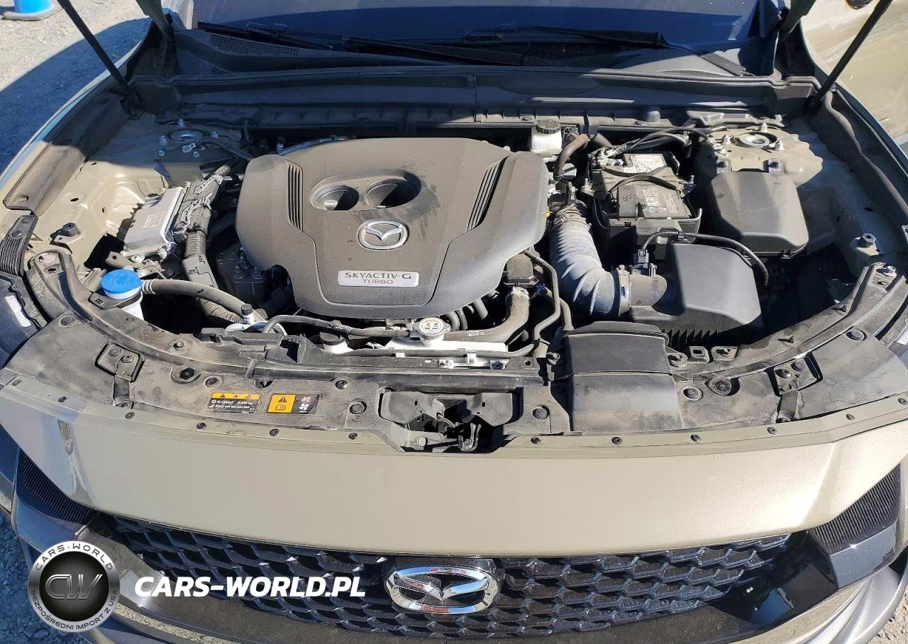2023 Mazda Cx-50 Premium Plus VIN:7MMVABEY3PN102452 - 12