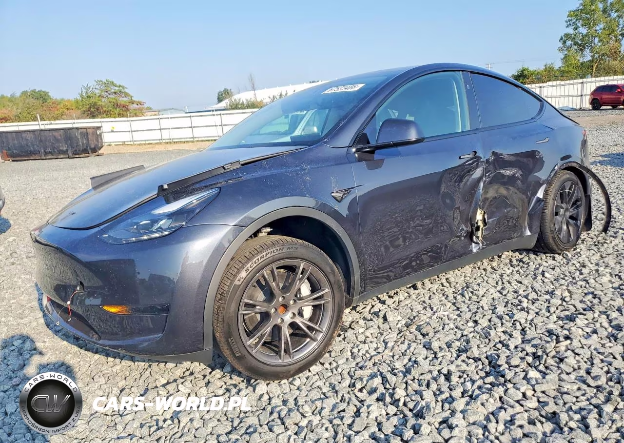 2025 Tesla Model Y VIN:7SAYGDED0SF257605 - 1