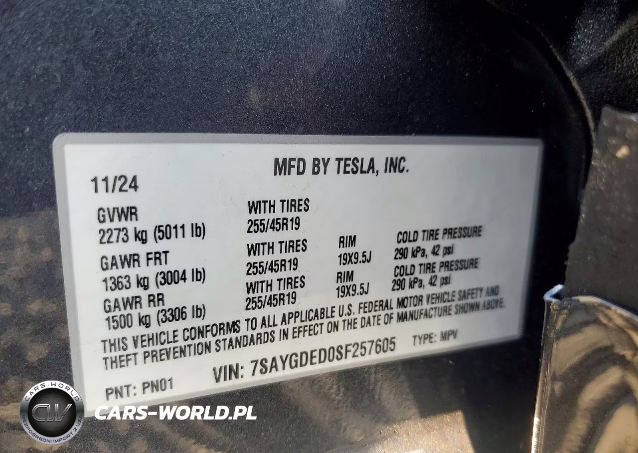 2025 Tesla Model Y VIN:7SAYGDED0SF257605 - 12