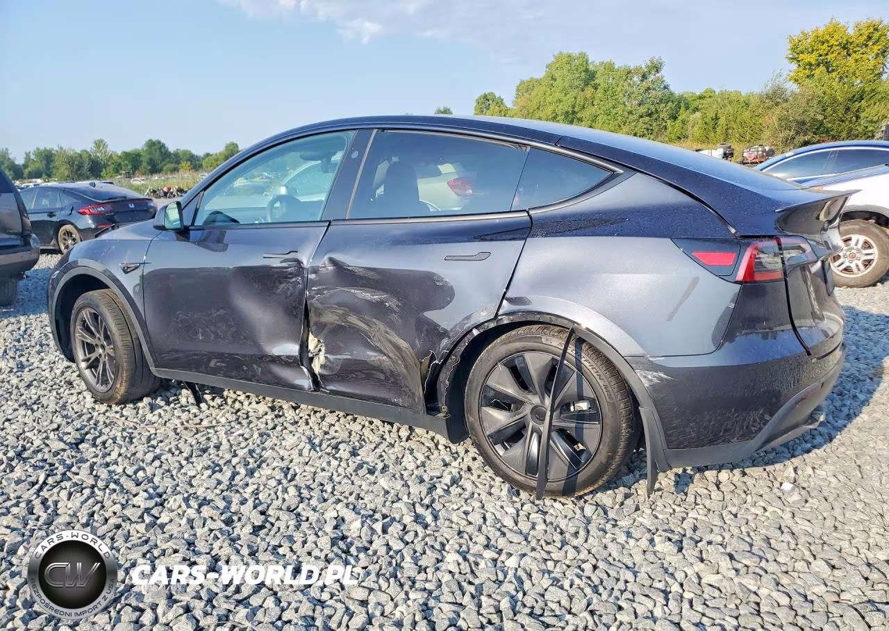 2025 Tesla Model Y VIN:7SAYGDED0SF257605 - 2