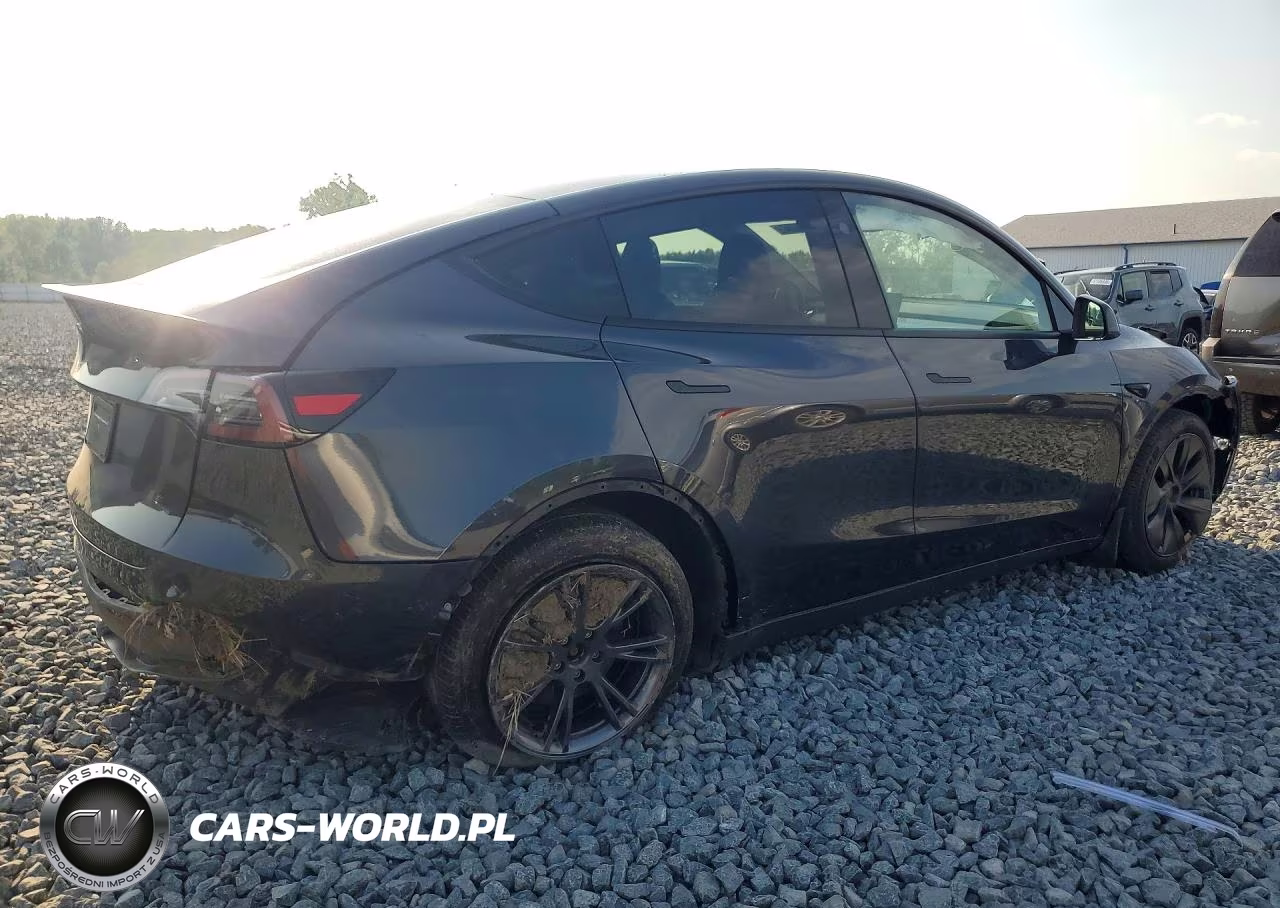 2025 Tesla Model Y VIN:7SAYGDED0SF257605 - 3