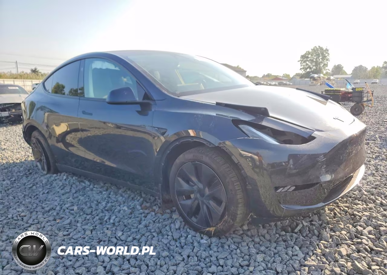 2025 Tesla Model Y VIN:7SAYGDED0SF257605 - 4