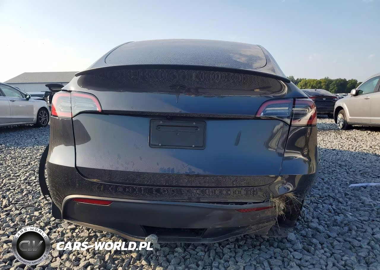 2025 Tesla Model Y VIN:7SAYGDED0SF257605 - 6