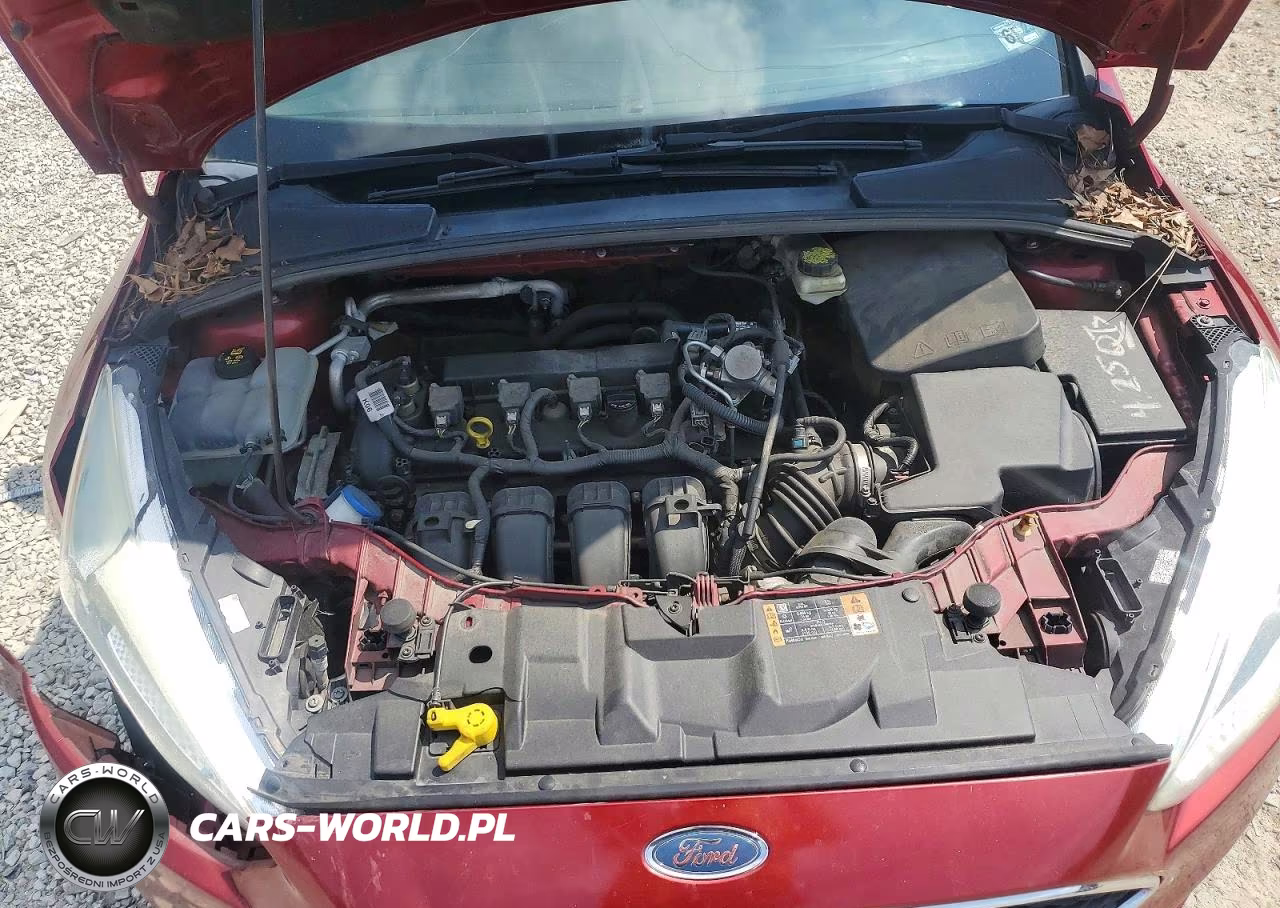 2017 Ford Focus Se VIN:1FADP3F21HL209013 - 11