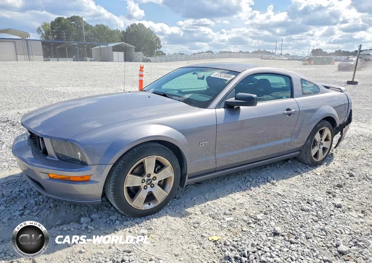 2006 Ford Mustang Gt VIN:1ZVHT82H165172252 - 1