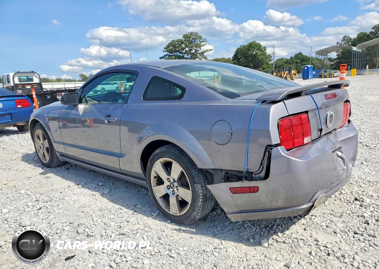 2006 Ford Mustang Gt VIN:1ZVHT82H165172252 - 2