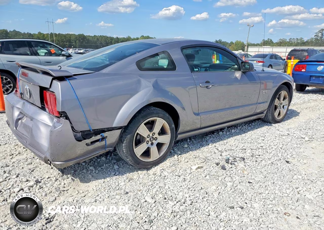 2006 Ford Mustang Gt VIN:1ZVHT82H165172252 - 3