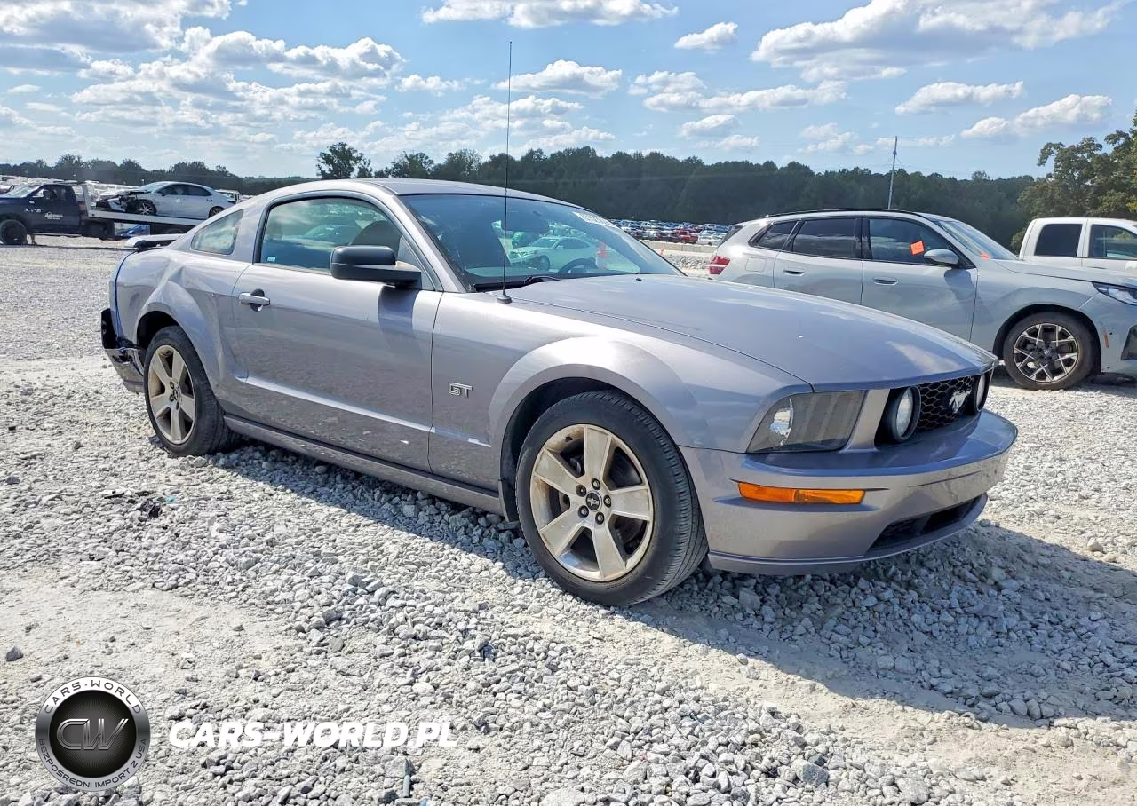 2006 Ford Mustang Gt VIN:1ZVHT82H165172252 - 4