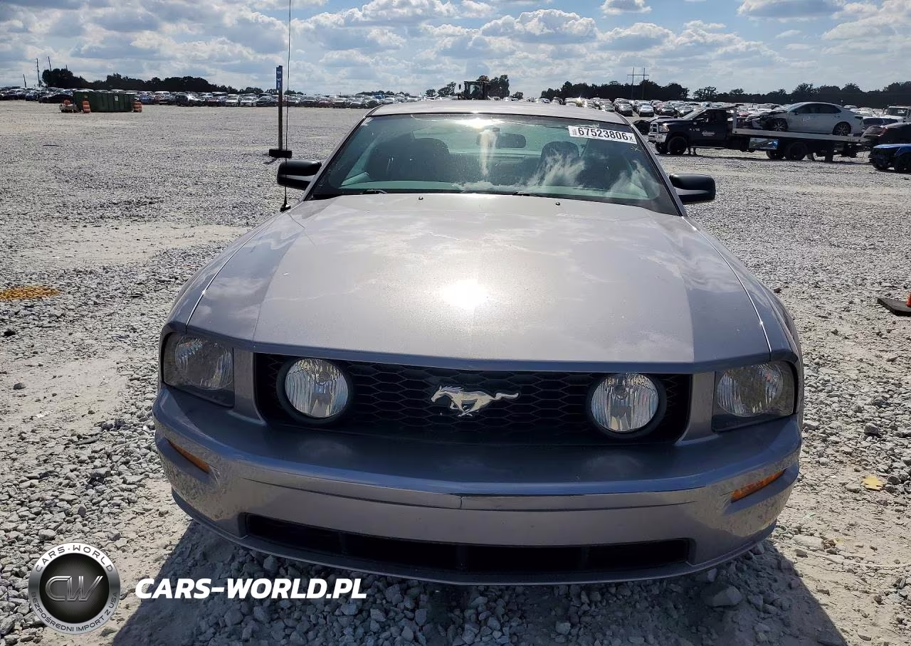 2006 Ford Mustang Gt VIN:1ZVHT82H165172252 - 5
