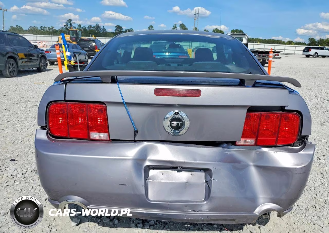 2006 Ford Mustang Gt VIN:1ZVHT82H165172252 - 6