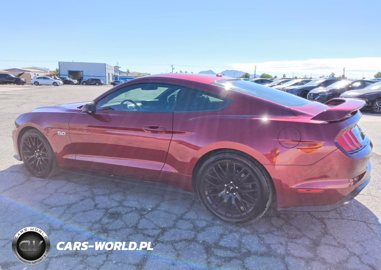 2019 Ford Mustang Gt VIN:1FA6P8CFXK5185951 - 2