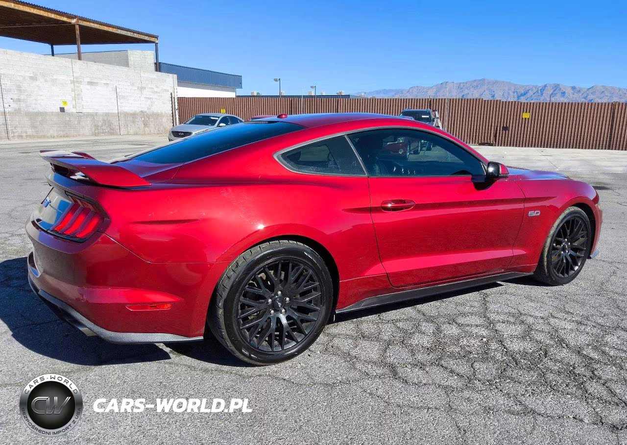 2019 Ford Mustang Gt VIN:1FA6P8CFXK5185951 - 3