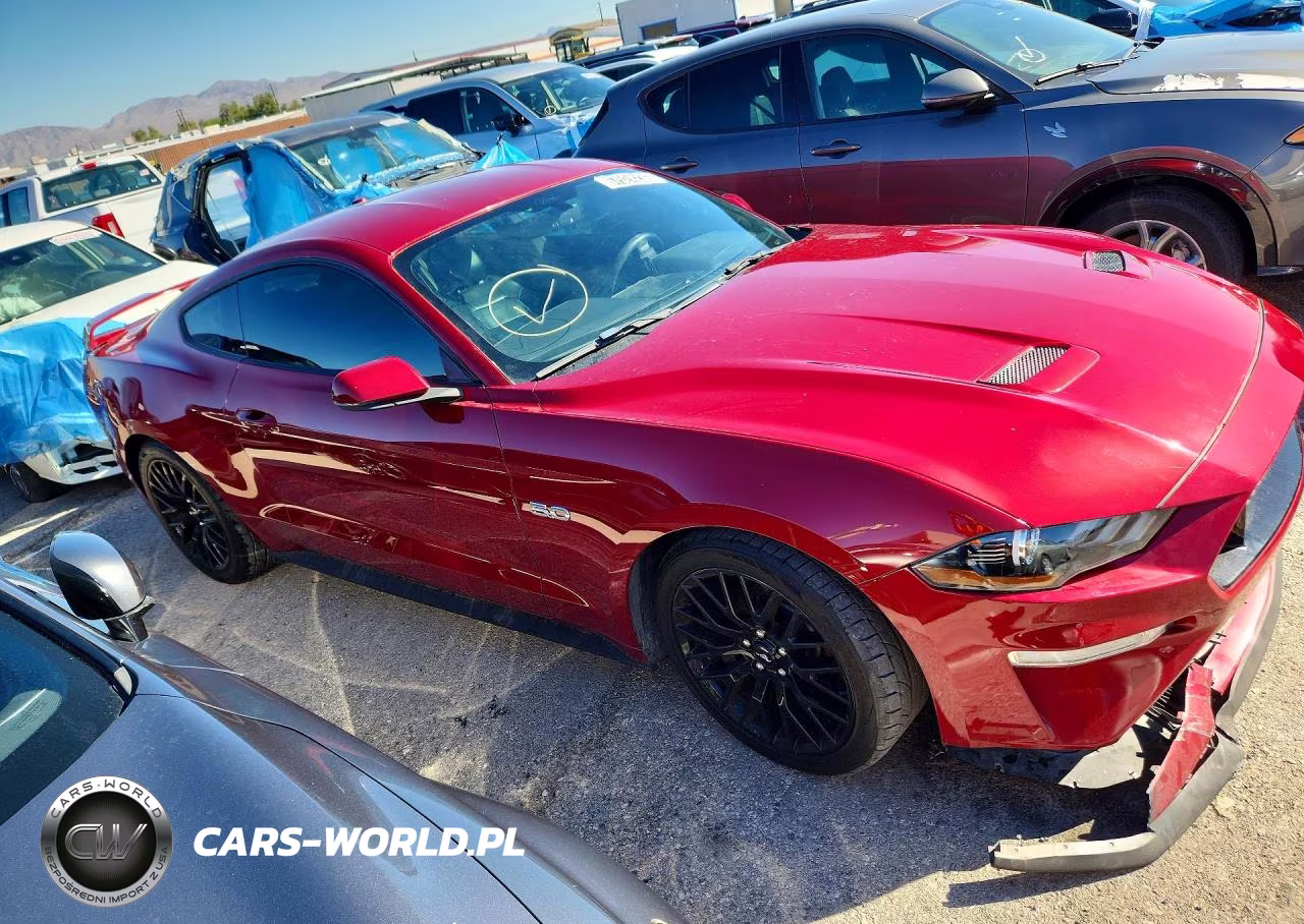 2019 Ford Mustang Gt VIN:1FA6P8CFXK5185951 - 4