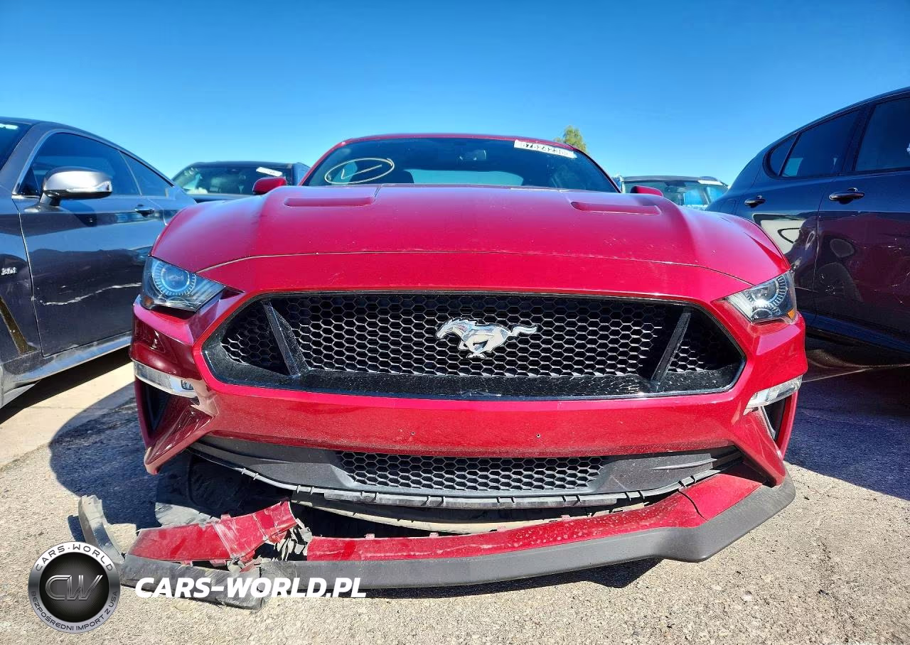 2019 Ford Mustang Gt VIN:1FA6P8CFXK5185951 - 5