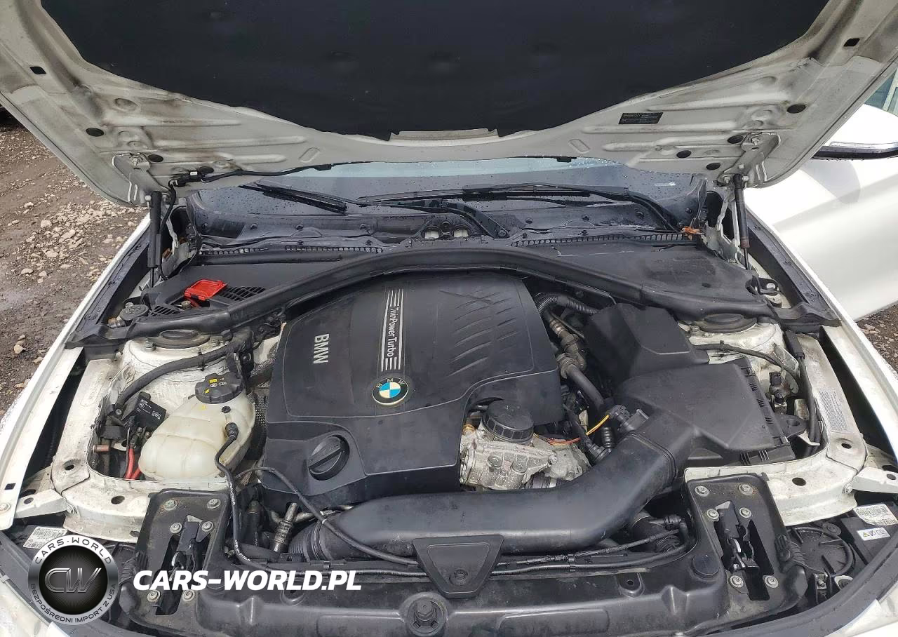 2015 BMW 435 Xi VIN:WBA3R5C51FK371220 - 11