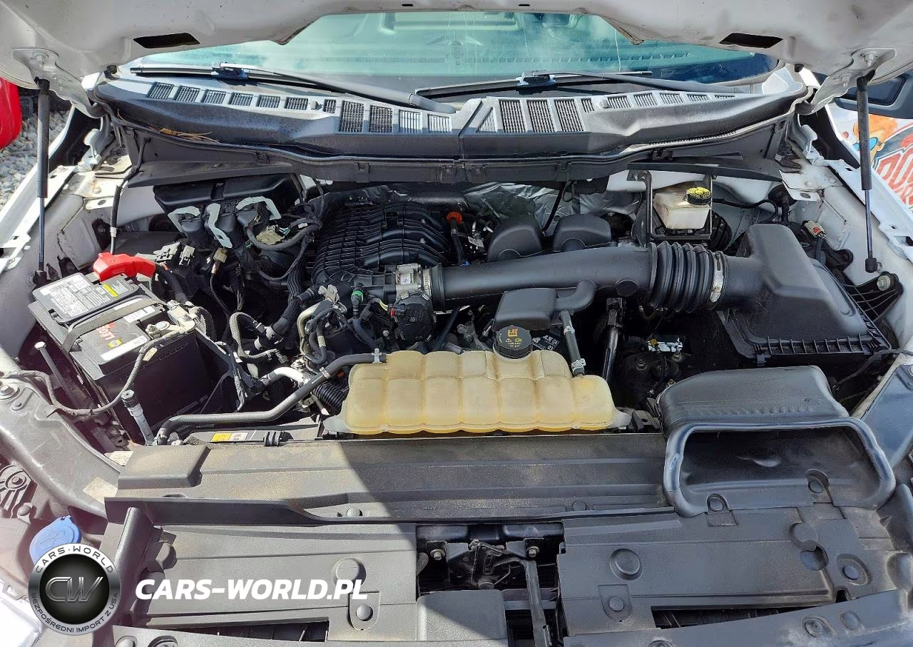 2021 Ford F150 VIN:1FTMF1CB0MKE44962 - 11