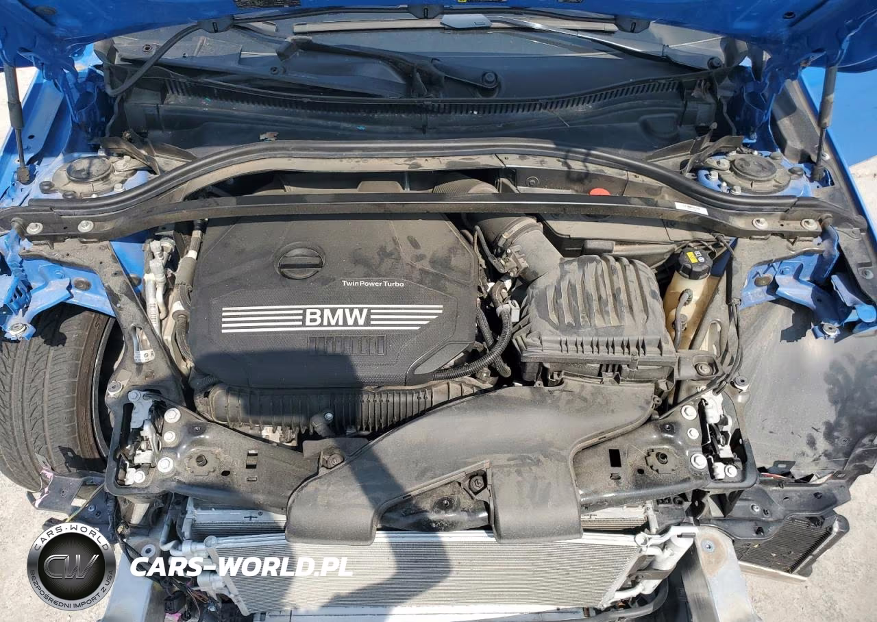 2021 BMW 228I VIN:WBA53AK06M7J74729 - 11