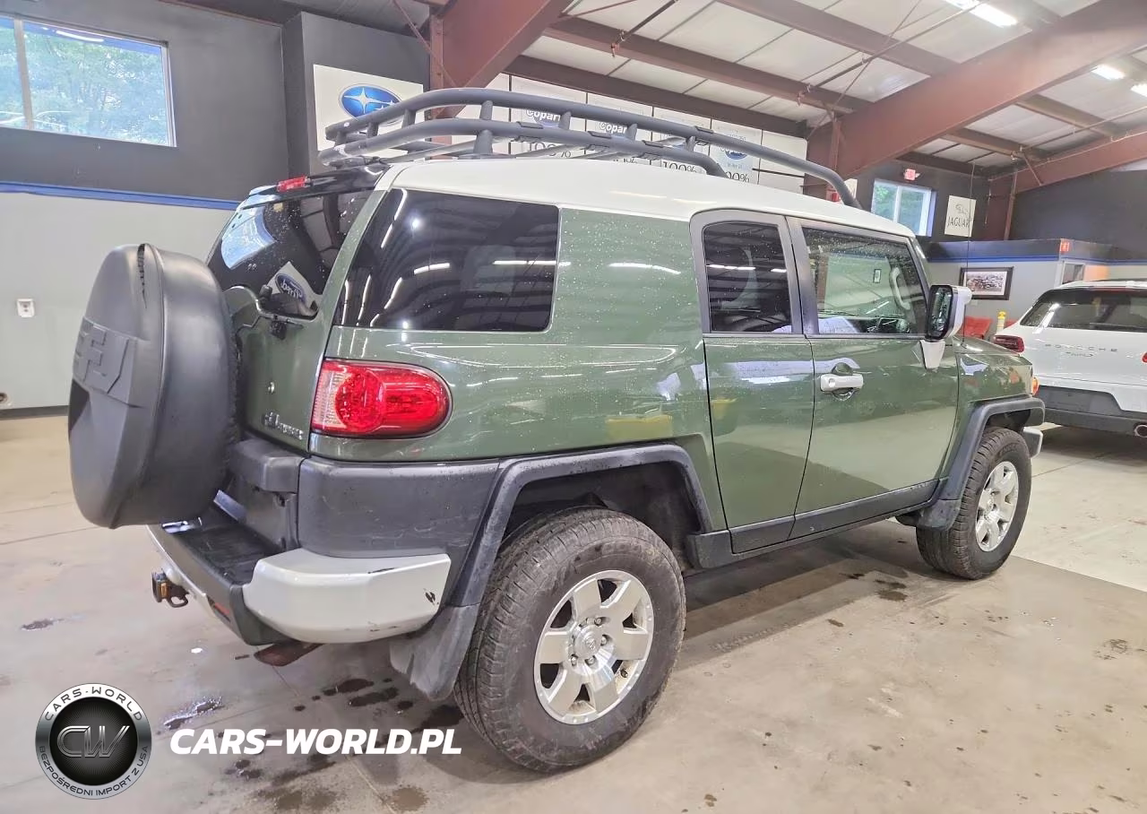 2010 Toyota Fj Cruiser Base VIN:JTEBU4BF2AK076648 - 3