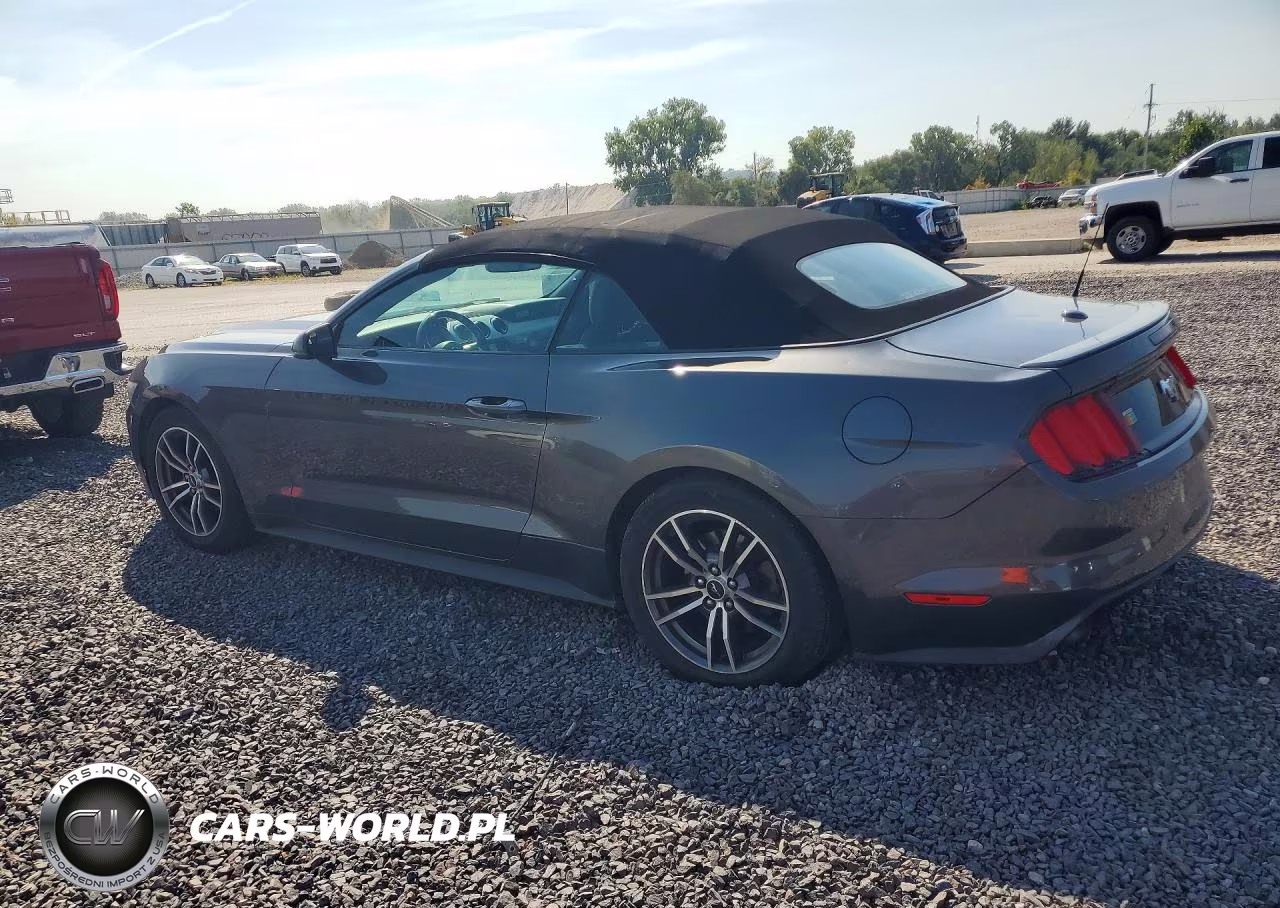2017 Ford Mustang VIN:1FATP8UH2H5296019 - 2