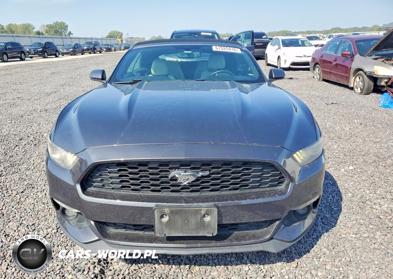 2017 Ford Mustang VIN:1FATP8UH2H5296019 - 5
