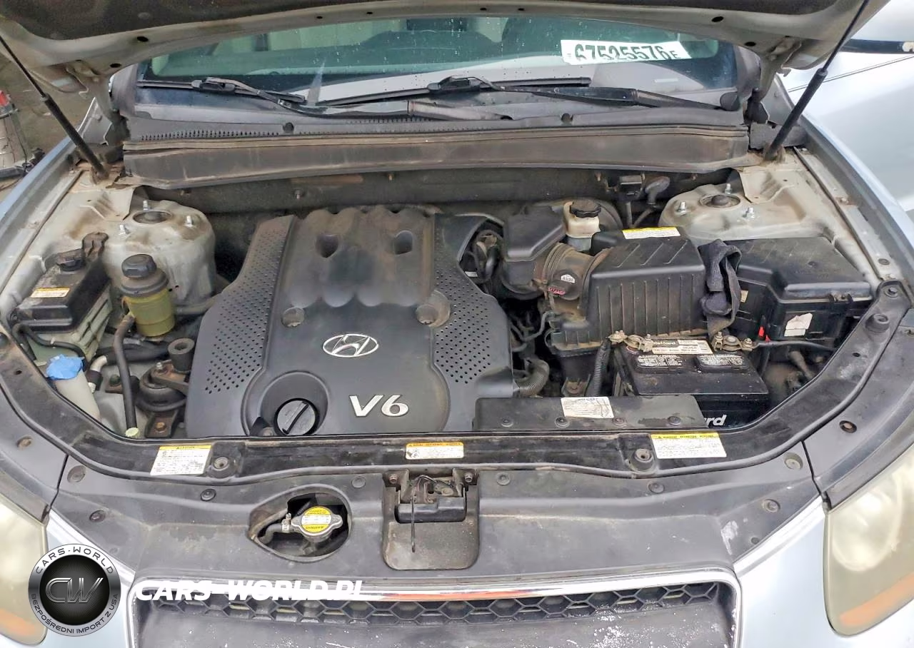 2007 Hyundai Santa Fe Gls VIN:5NMSG13D27H093655 - 12