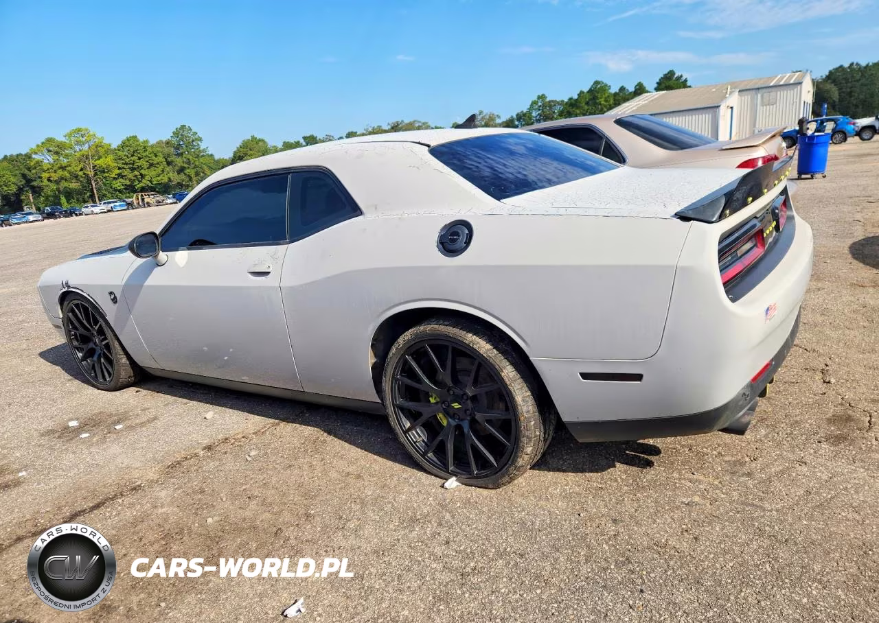 2019 Dodge Challenger R-T Scat Pack VIN:2C3CDZFJ4KH506536 - 2