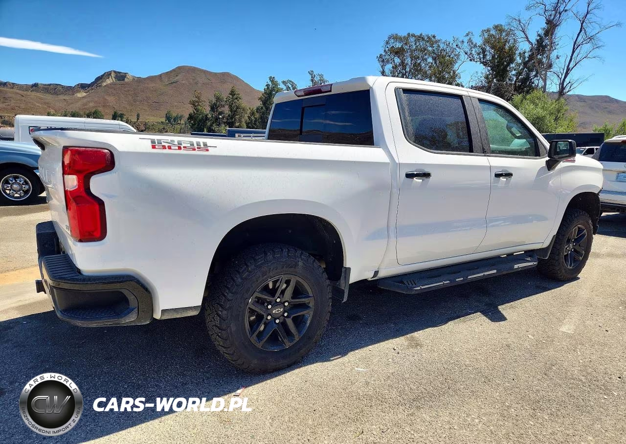 2020 Chevrolet Silverado K1500 Lt Trail Boss VIN:3GCPYFED7LG311785 - 3