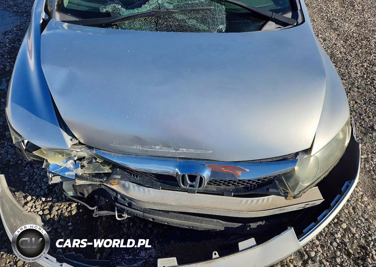2009 Honda Civic Lx VIN:19XFA16599E047127 - 11