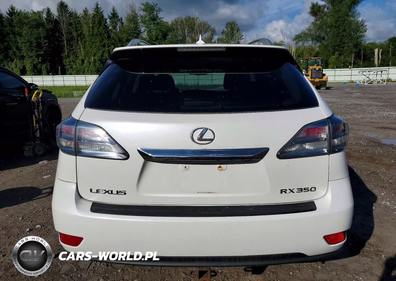 2010 Lexus Rx 350 VIN:2T2BK1BA5AC022383 - 6