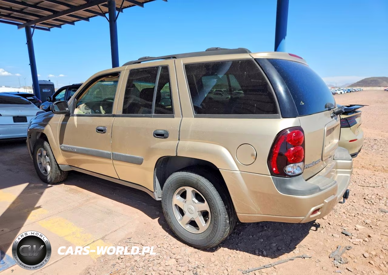 2004 Chevrolet Trailblazer Ls VIN:1GNDT13S942292339 - 2