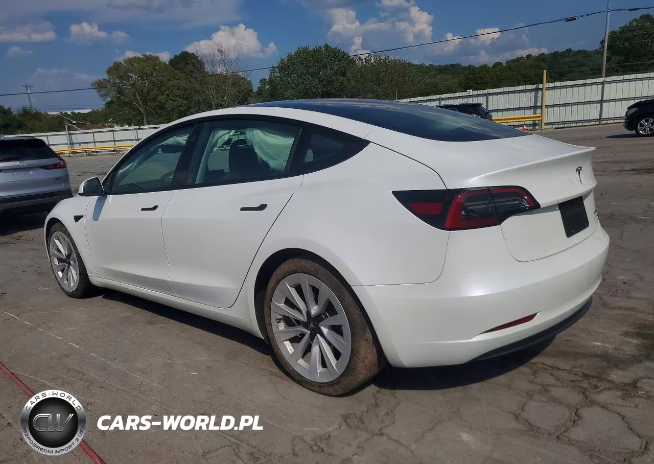 2023 Tesla Model 3 VIN:5YJ3E1EB3PF595114 - 2