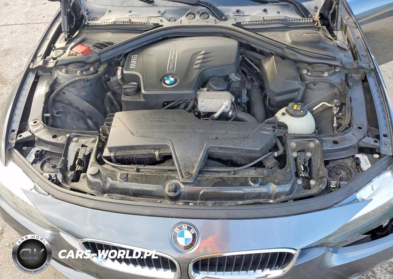 2016 BMW 320 I VIN:WBA8E1G50GNT99918 - 11