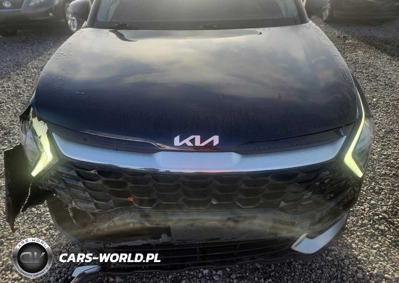 2024 Kia Sportage Ex VIN:5XYK33DFXRG208782 - 12