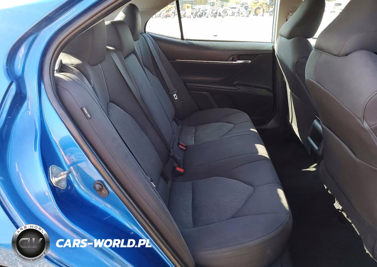 2020 Toyota Camry Le VIN:4T1C11AK5LU310704 - 10
