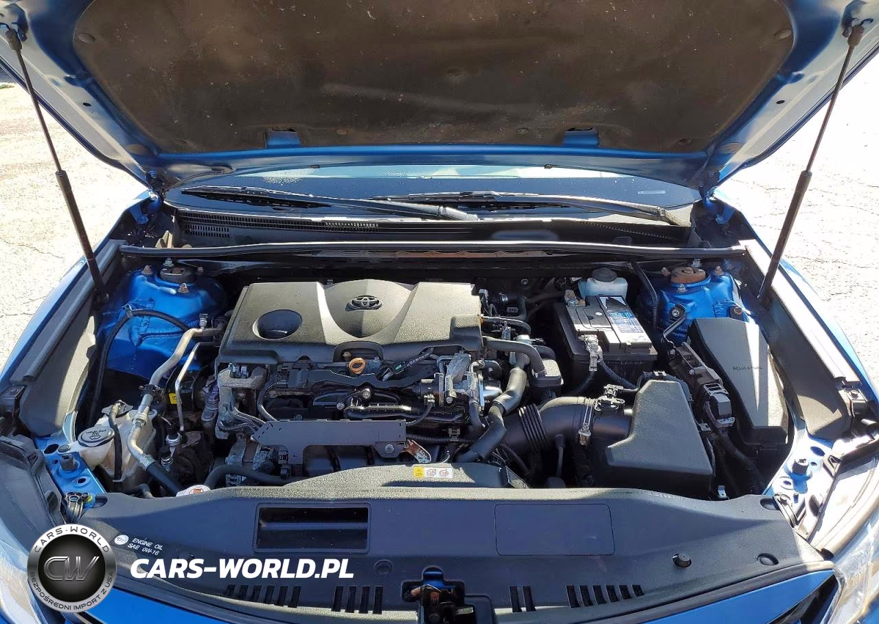 2020 Toyota Camry Le VIN:4T1C11AK5LU310704 - 11