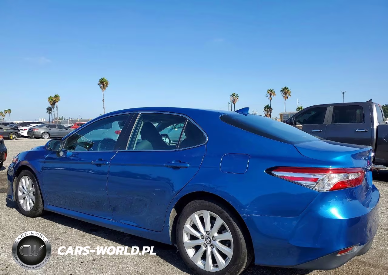 2020 Toyota Camry Le VIN:4T1C11AK5LU310704 - 2