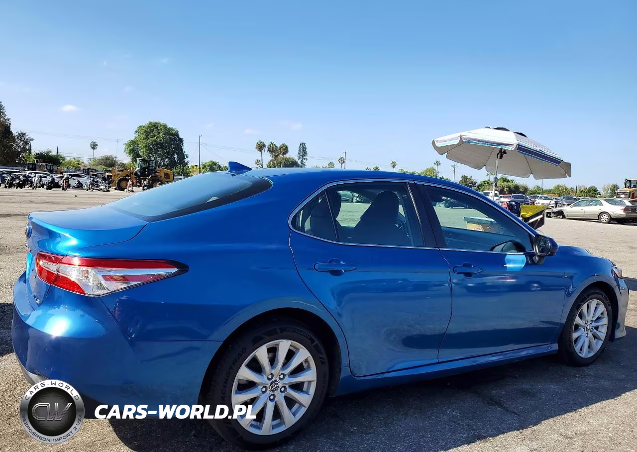 2020 Toyota Camry Le VIN:4T1C11AK5LU310704 - 3