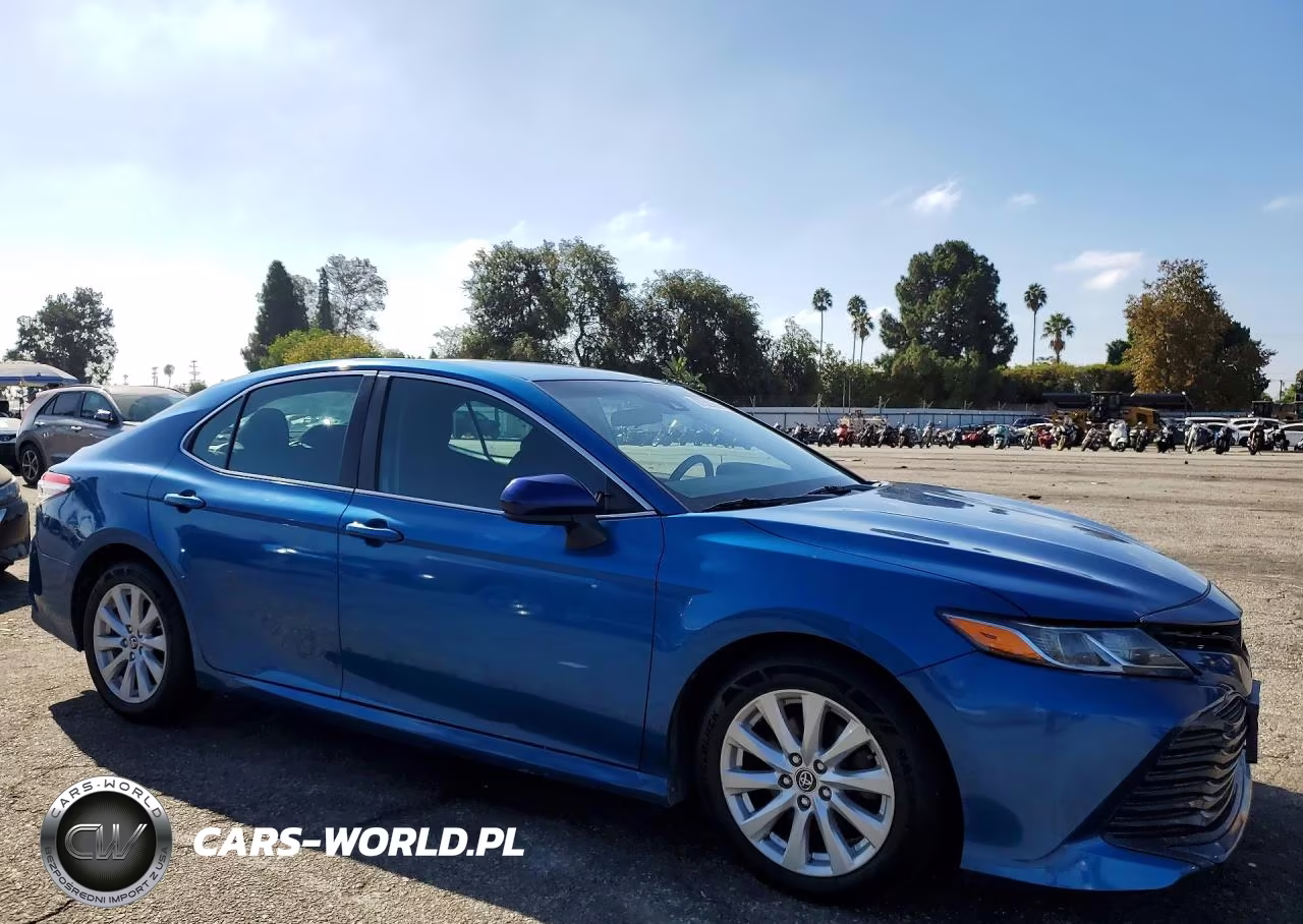 2020 Toyota Camry Le VIN:4T1C11AK5LU310704 - 4