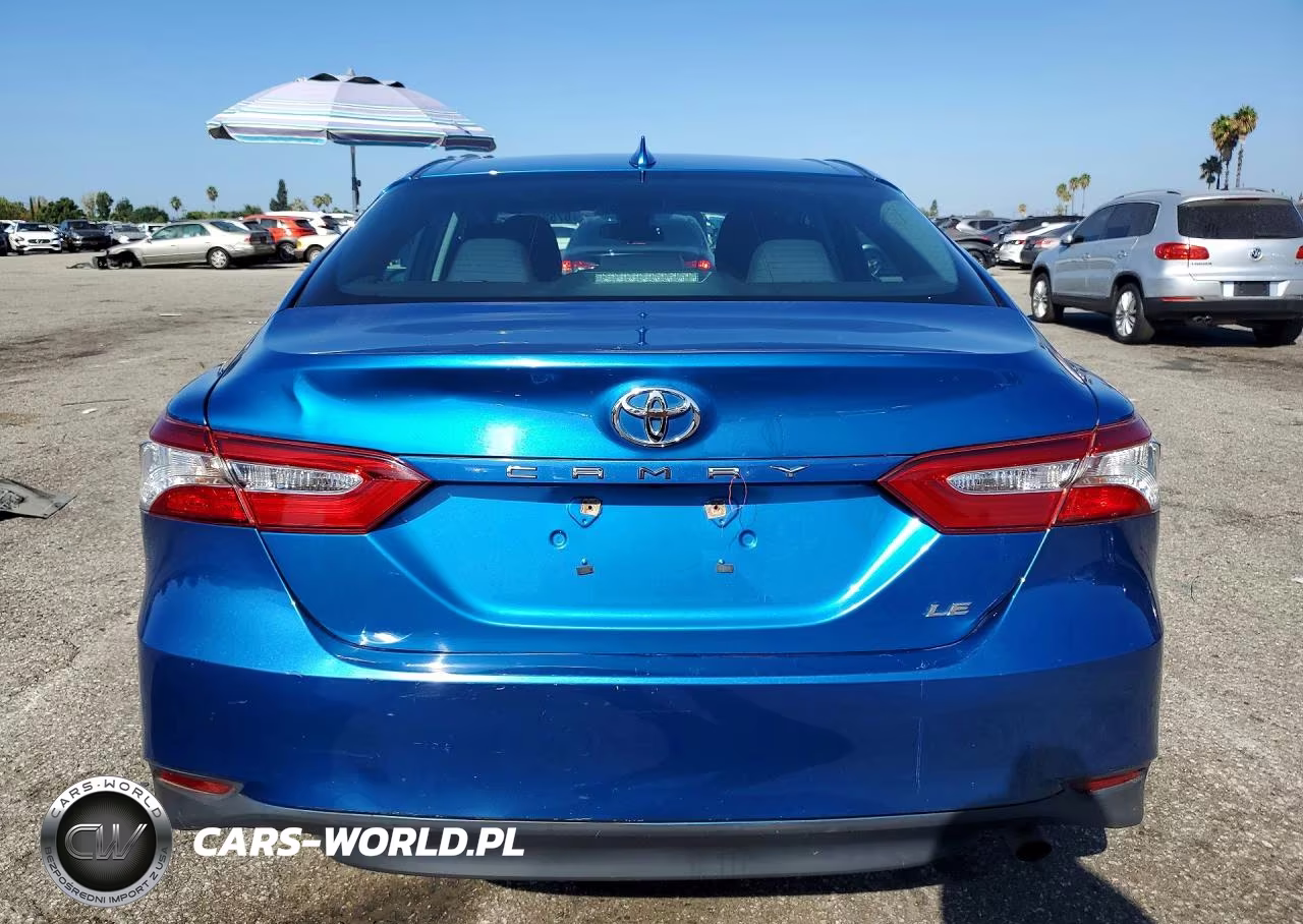 2020 Toyota Camry Le VIN:4T1C11AK5LU310704 - 6