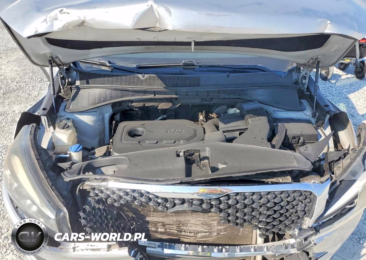2017 Kia Sorento Lx VIN:5XYPG4A37HG260668 - 12