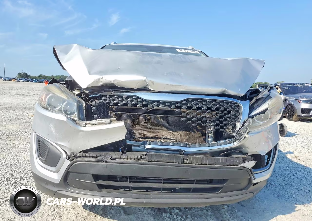2017 Kia Sorento Lx VIN:5XYPG4A37HG260668 - 5
