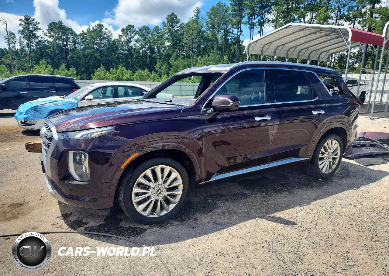 2020 Hyundai Palisade Limited VIN:KM8R5DHE6LU103044 - 1