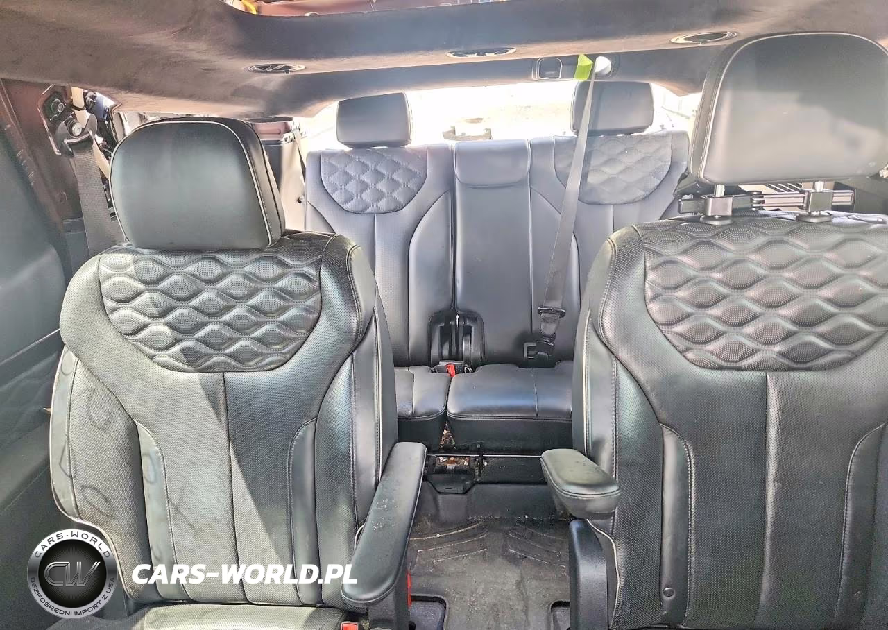 2020 Hyundai Palisade Limited VIN:KM8R5DHE6LU103044 - 10